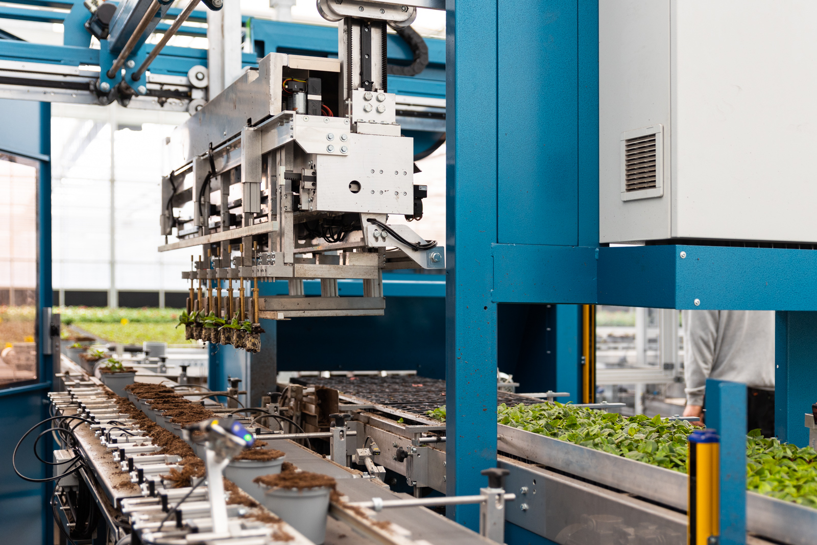Vue de profil du MidiQuatro, la machine à repiquer de TTA-ISO en train de soulever des jeunes plants.