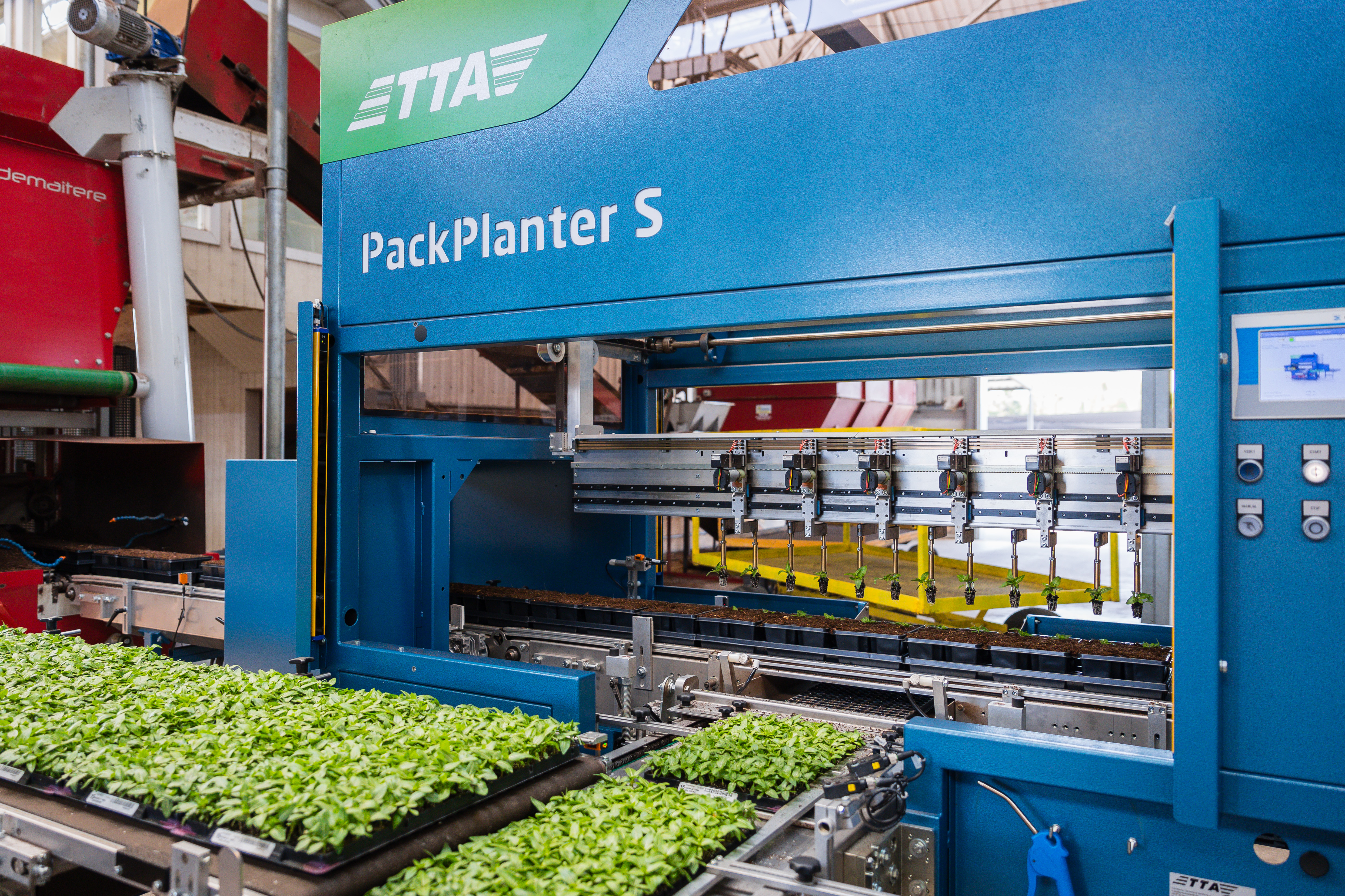Des pinces robotisées du modèle TTA-ISO PackPlanter maintiennent les mottes de plants pendant la repiquage dans une serre.